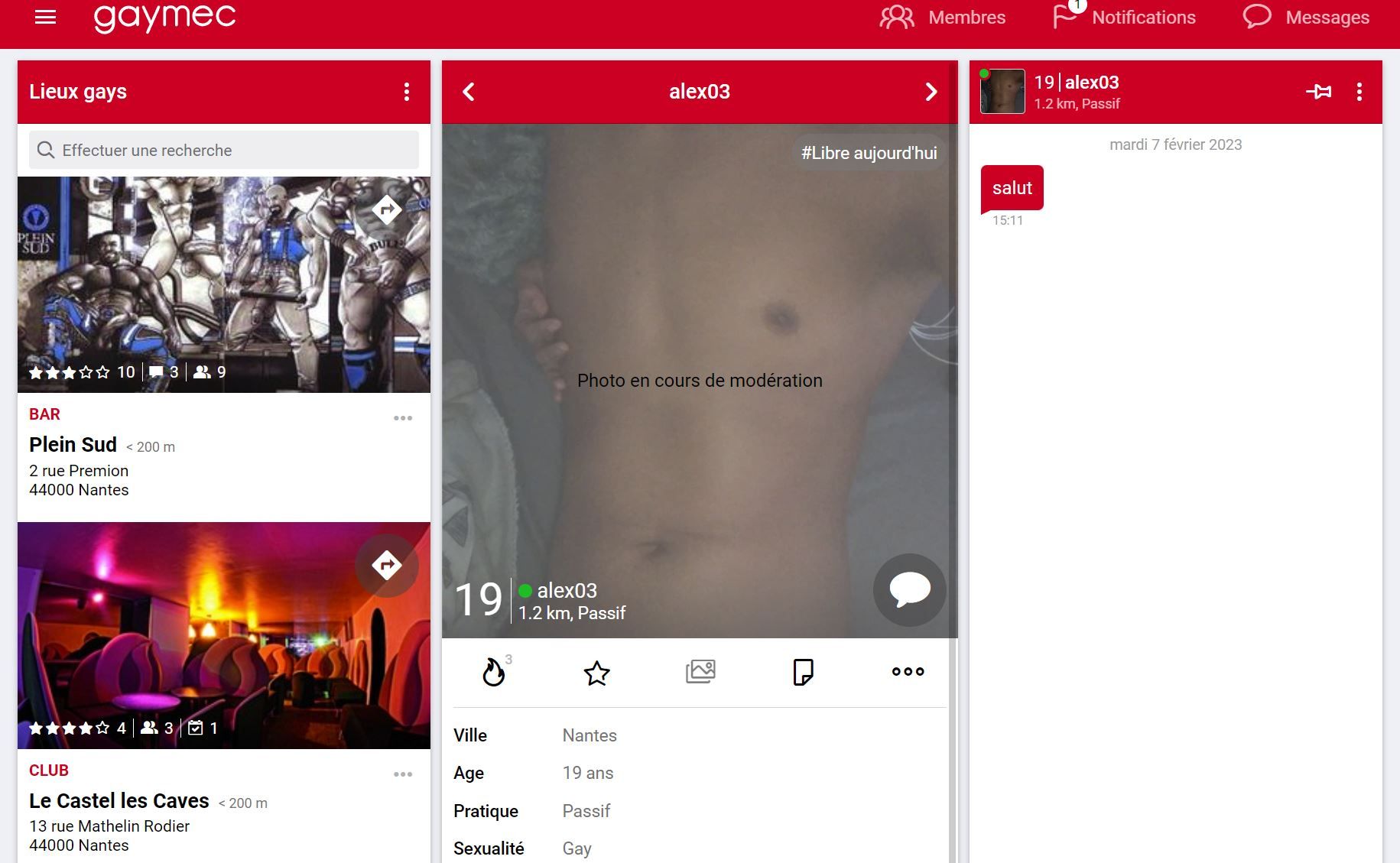 Interface de Gaymec