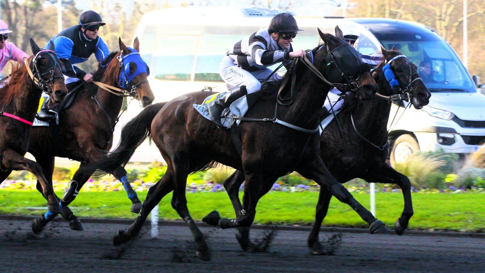 Course hippique avec les couleurs Dezcourse
