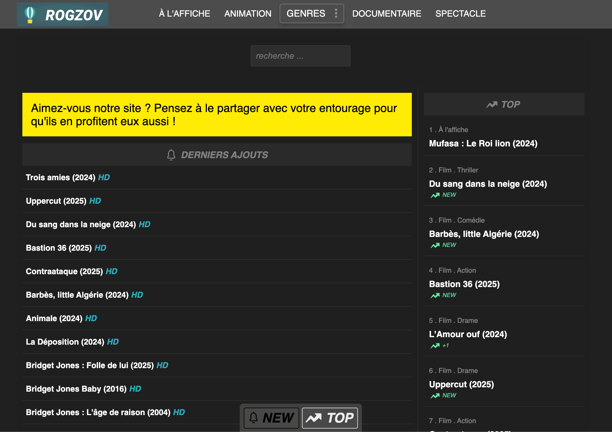 Rogzov : que propose vraiment cette plateforme de streaming ?